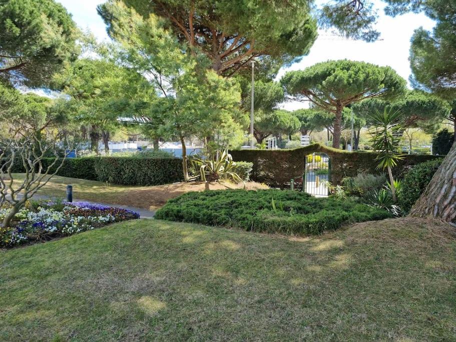 Superbe T2 Tout Confort 3 Etoiles, Entierement Renove Avec Piscine, Parking, Clim, Wifi, Netflix Ла-Гранд-Мот Экстерьер фото