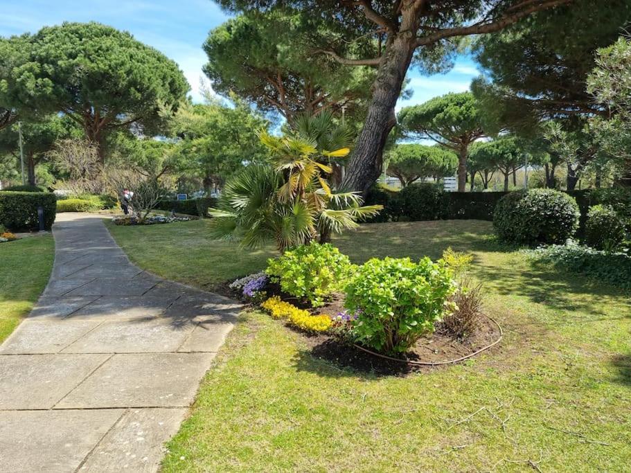 Superbe T2 Tout Confort 3 Etoiles, Entierement Renove Avec Piscine, Parking, Clim, Wifi, Netflix Ла-Гранд-Мот Экстерьер фото